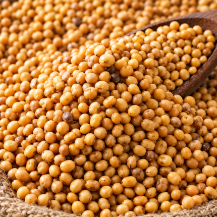 ধনিয়া